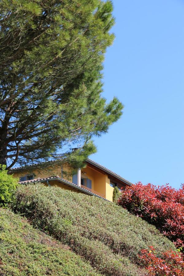 Le Vallon de Saint André Limonest Extérieur photo